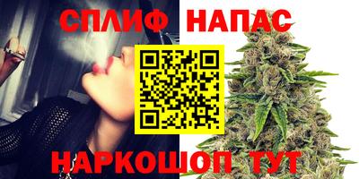 спиды Канаш